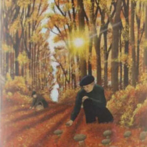 Romain Henin - L'Appel de la Foret 2015